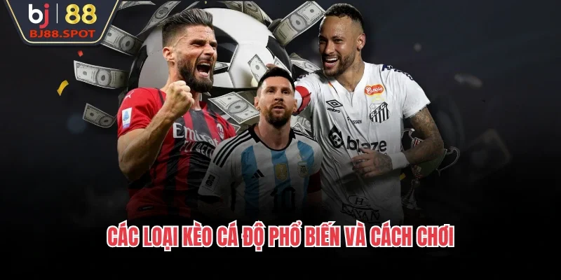 Các loại cá đa cấp và cách chơi