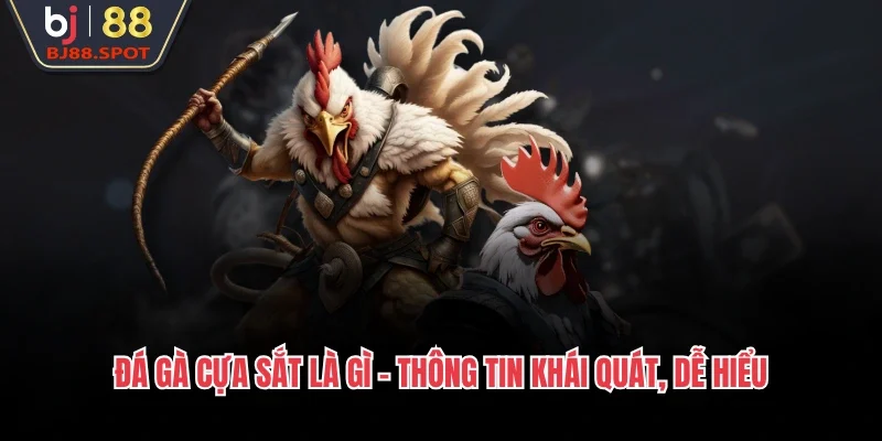 Đá gà cựa sắt là gì - Thông tin khái quát, dễ hiểu