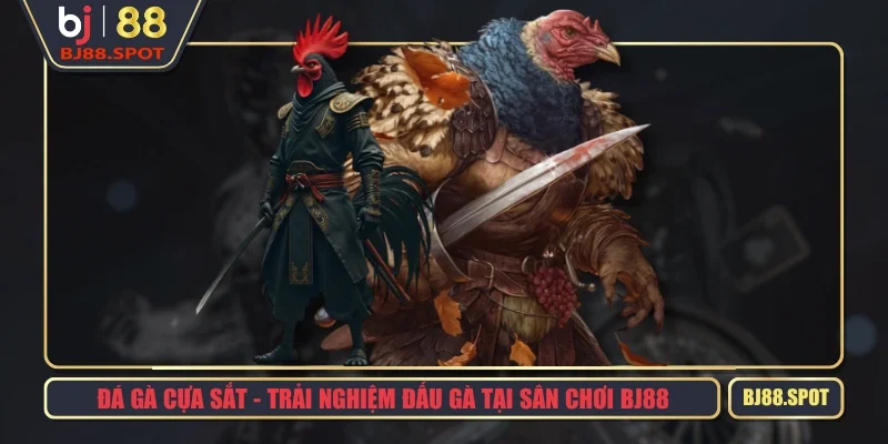 Đá Gà Cựa Sắt - Trải Nghiệm Đấu Gà Tại Sân Chơi BJ88
