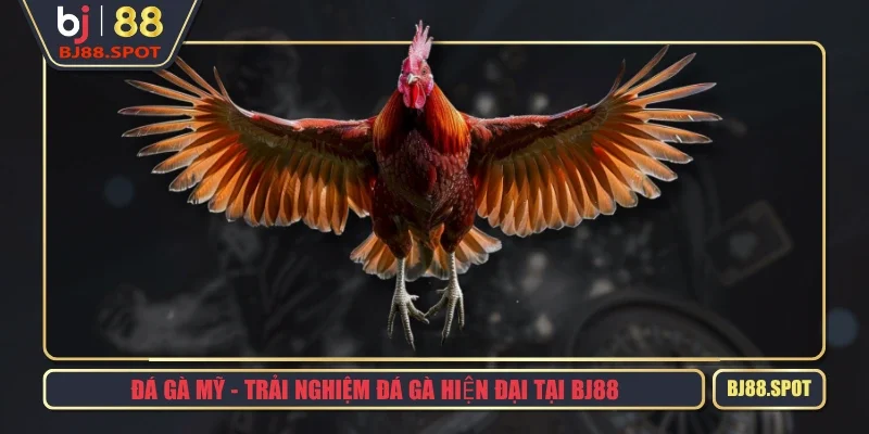 Đá Gà Mỹ - Trải Nghiệm Đá Gà Hiện Đại Tại BJ88
