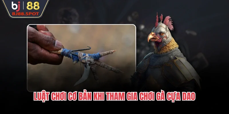 Luật chơi cơ bản khi tham gia chơi gà cựa dao