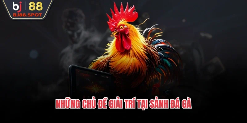 Những chủ đề giải trí tại sảnh đá gà